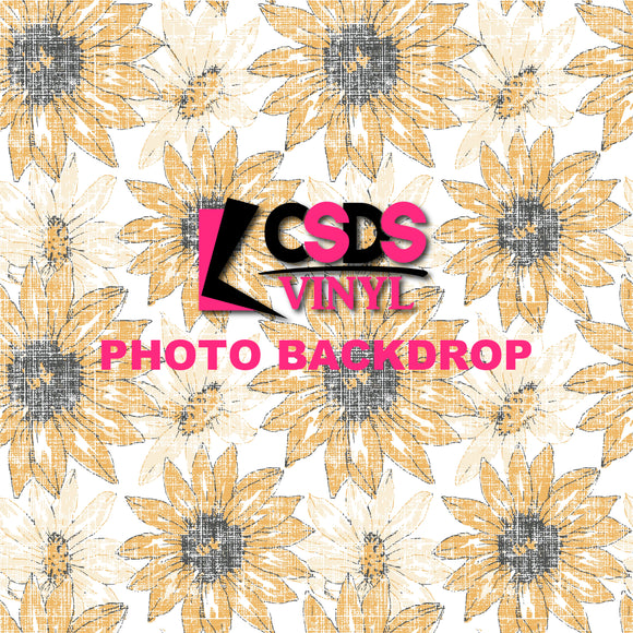 Photo Backdrops - BD227