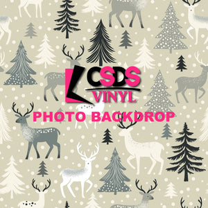 Photo Backdrops - BD260