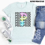 DTF Transfer - DTF002618 Pansexual Pride Word Art