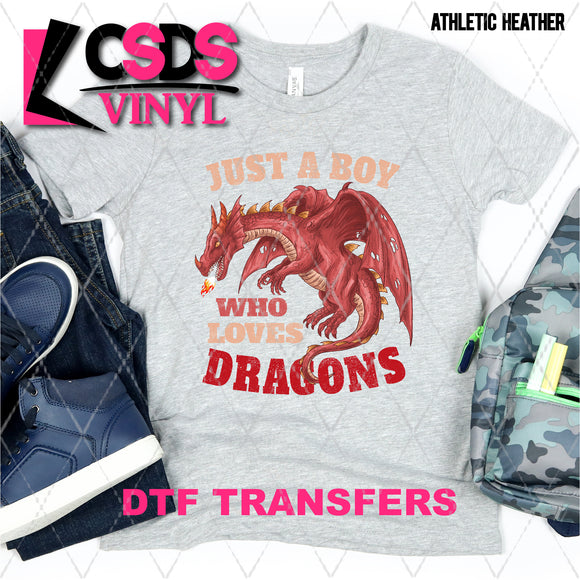 DTF Transfer - DTF002741 Just a Boy who Loves Dragons