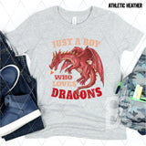 DTF Transfer - DTF002741 Just a Boy who Loves Dragons