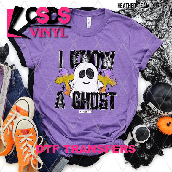 DTF Transfer - DTF003996 I Know a Ghost