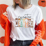 DTF Transfer - DTF004099 Sweater Weather License Plate Letters