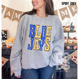 DTF Transfer - DTF005995 Sporty Mascot Blue Jays Blue Yellow