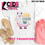 DTF Transfer - DTF006989 100 Llamazing Days