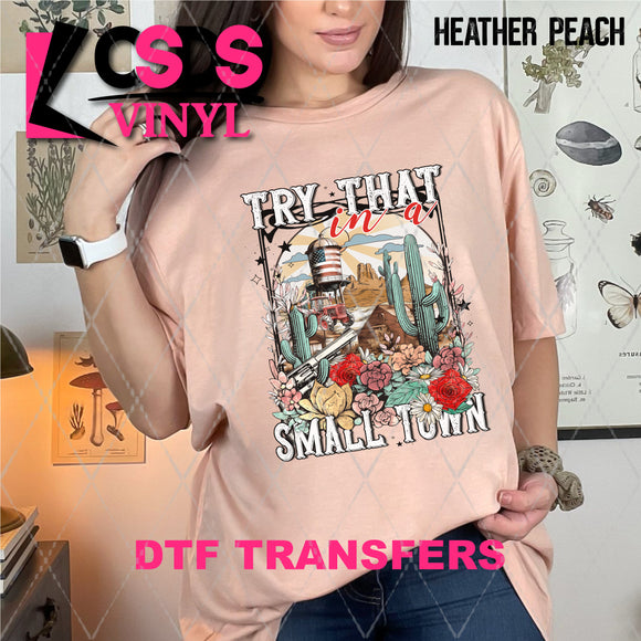 DTF Transfer - DTF007064 Try That in a Small Town