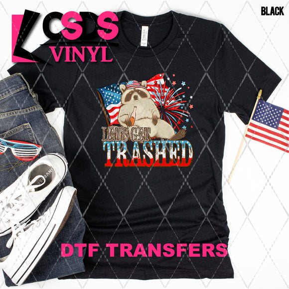 DTF Transfer - DTF008847 Let's Get Trashed Patriotic Racoon