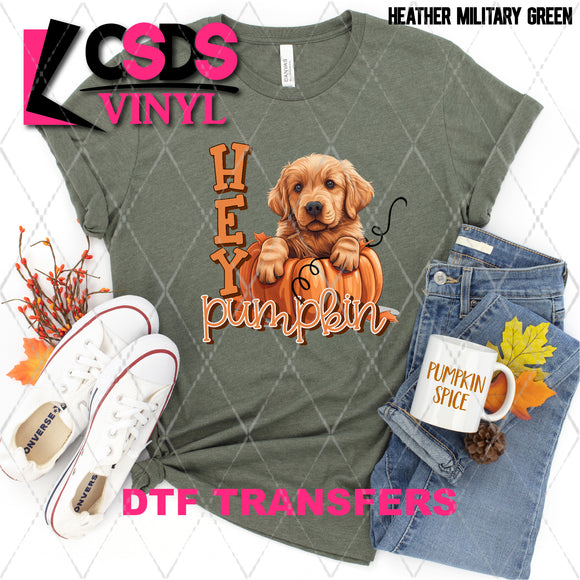 DTF Transfer - DTF009732 Hey Pumpkin Golden Retriever