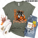 DTF Transfer - DTF009734 Hey Pumpkin Boxer