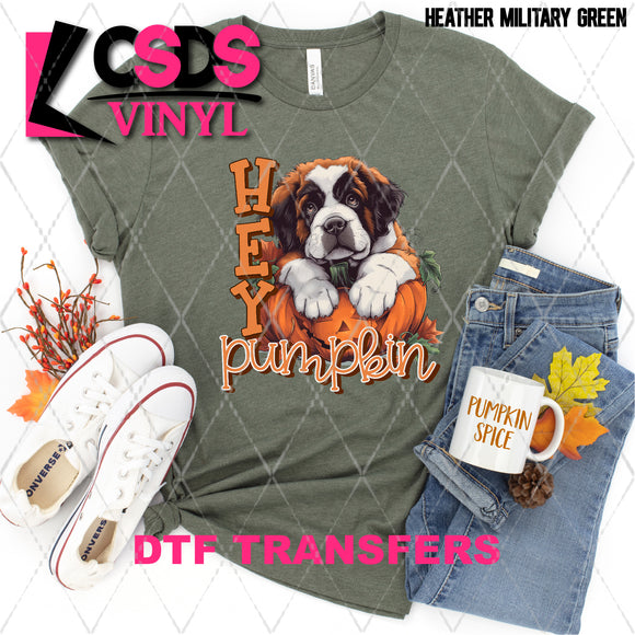 DTF Transfer - DTF009735 Hey Pumpkin St Bernard