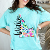 DTF Transfer - DTF010477 Colorful Paisley States