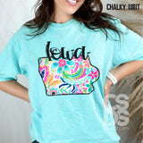 DTF Transfer - DTF010477 Colorful Paisley States