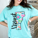 DTF Transfer - DTF010477 Colorful Paisley States