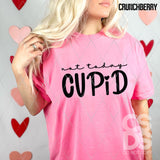 DTF Transfer - DTF011227 Not Today Cupid