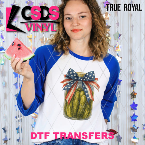 DTF Transfer - DTF012256 Patriotic Pickle Jar