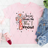 DTF Transfer - DTF012614 Jesus Loves Me This I Know Red and Pink