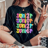DTF Transfer - DTF012640 Senior 2026 Stacked Word Art