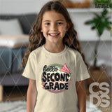 DTF Transfer - DTF012648 Hello Pink Round Grade Set