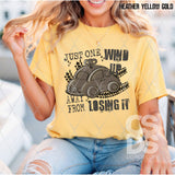 DTF Transfer - DTF012722 Just One Wind Up Away from Losing It