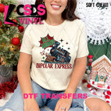 DTF Transfer - DTF013341 All Aboard the Bipolar Express