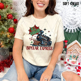 DTF Transfer - DTF013341 All Aboard the Bipolar Express