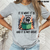 DTF Transfer - DTF013378 It Is What It Is and It Is Not Great