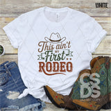 DTF Transfer - Stock Gang Sheet - DTFGANG0148 Western Rodeo