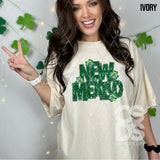 DTF Transfer - DTF015051 - Faux Glitter/Embroidery Shamrock States