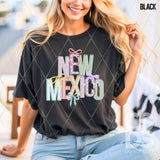 DTF Transfer - DTF015056 - Faux Embroidery Spring Bow States