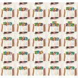 DTF Transfer - DTF015060 - Retro Rainbow Mascots