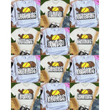 DTF Transfer - DTF015181 - Softball Mascot Plate