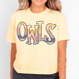 DTF Transfer - DTF015653 Spring Pastel Mascots