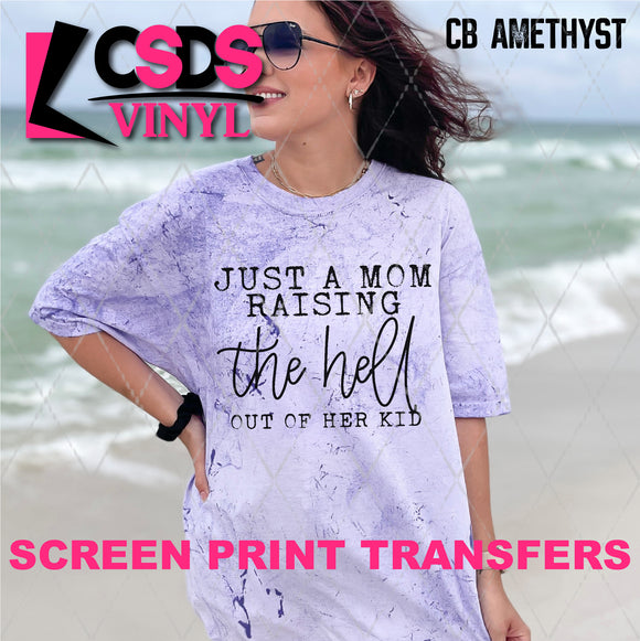 Screen Print Transfer - SCR4572 Just a Mom Raising the Hell Out of Her Kid - Black