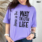 Screen Print Transfer - SCR4687 Jesus is the Way Truth Life - Black