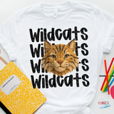 DTF Transfer - DTF015023 Faux Yarn Mascots