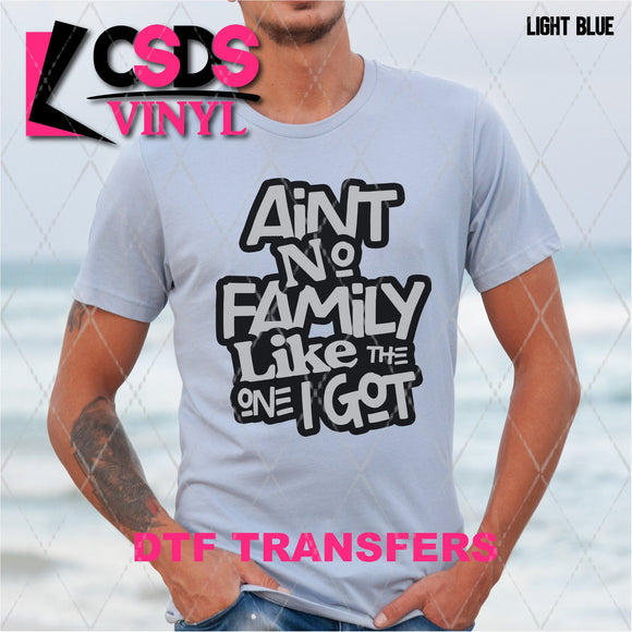 DTF Transfer - DTF001741 Aint No Family like the One I Got