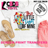 Screen Print Transfer - This Little Light of Mine YOUTH - Full Color *HIGH HEAT*